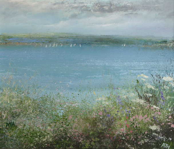 AMANDA HOSKIN - afternoon sailing on the river dart